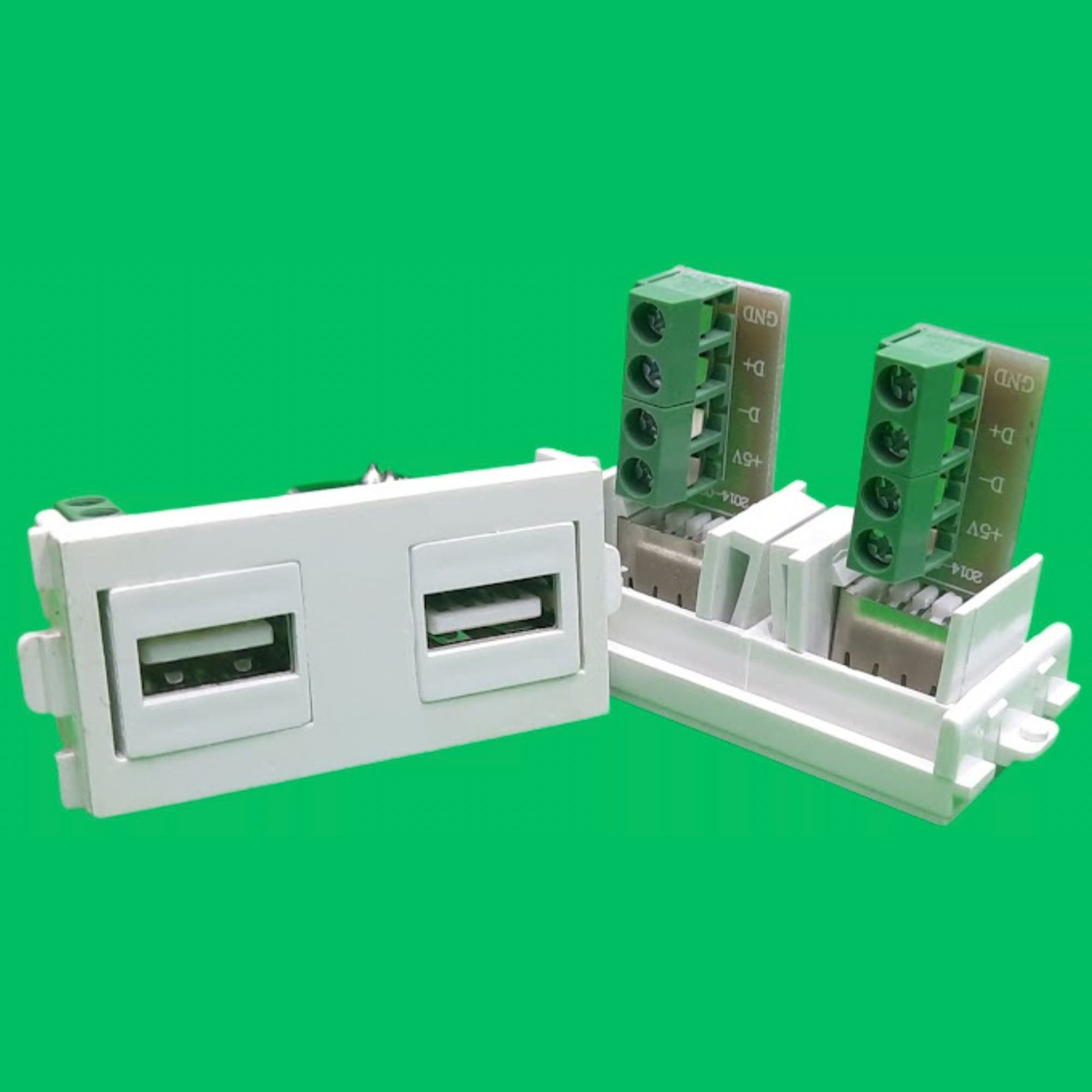 Dual USB Female Screw-Terminal Module (White)